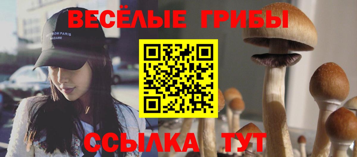 Галлюциногенные грибы ЛСД Хабаровск